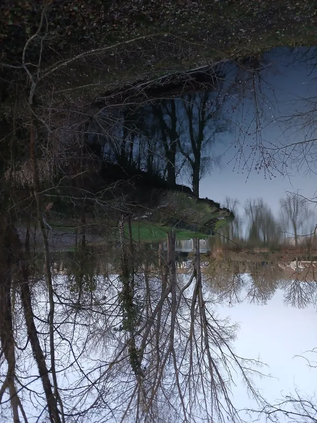 Upside Down